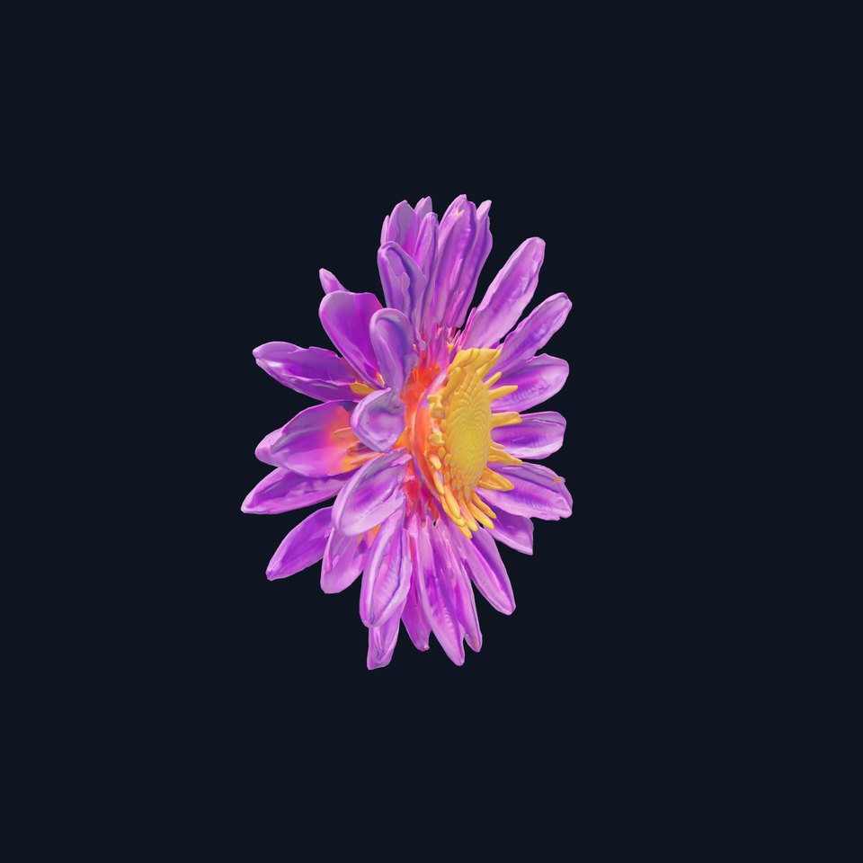 Realistic Aster Flower Purple Petals Model Pack